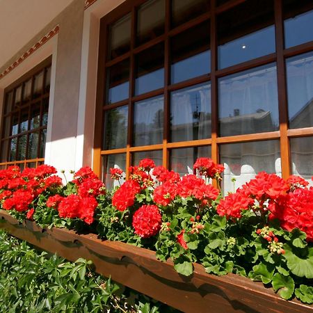 דוביאקו Hotel Villa Monica מראה חיצוני תמונה